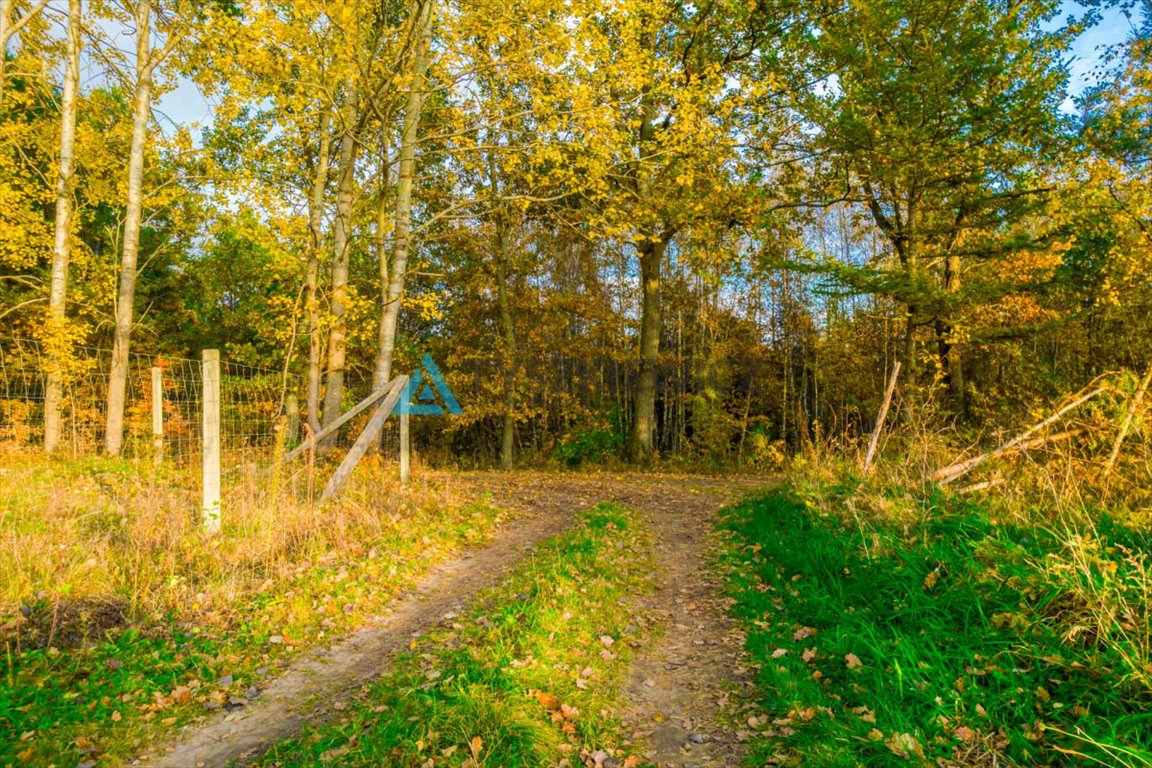 Działka budowlana na sprzedaż Krosnowo  1 579m2 Foto 7