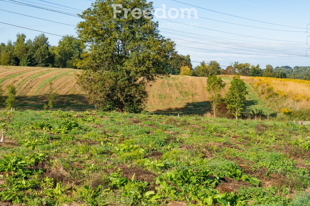 Działka budowlana na sprzedaż Brzeźnica  3 501m2 Foto 1