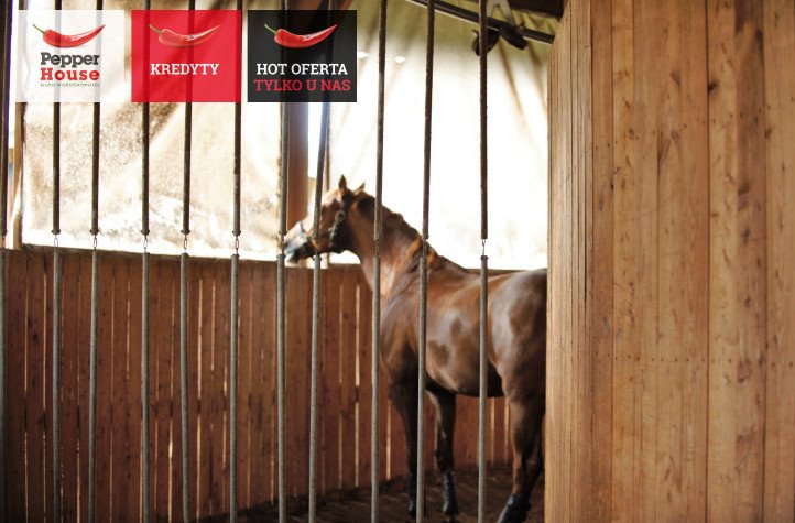 Lokal użytkowy na sprzedaż Krubki-Górki  28 600m2 Foto 1