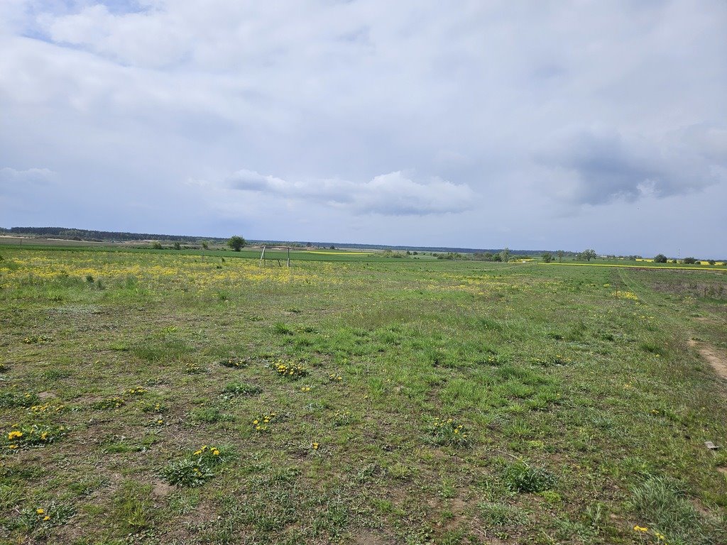 Działka budowlana na sprzedaż Moryń  1 000m2 Foto 10