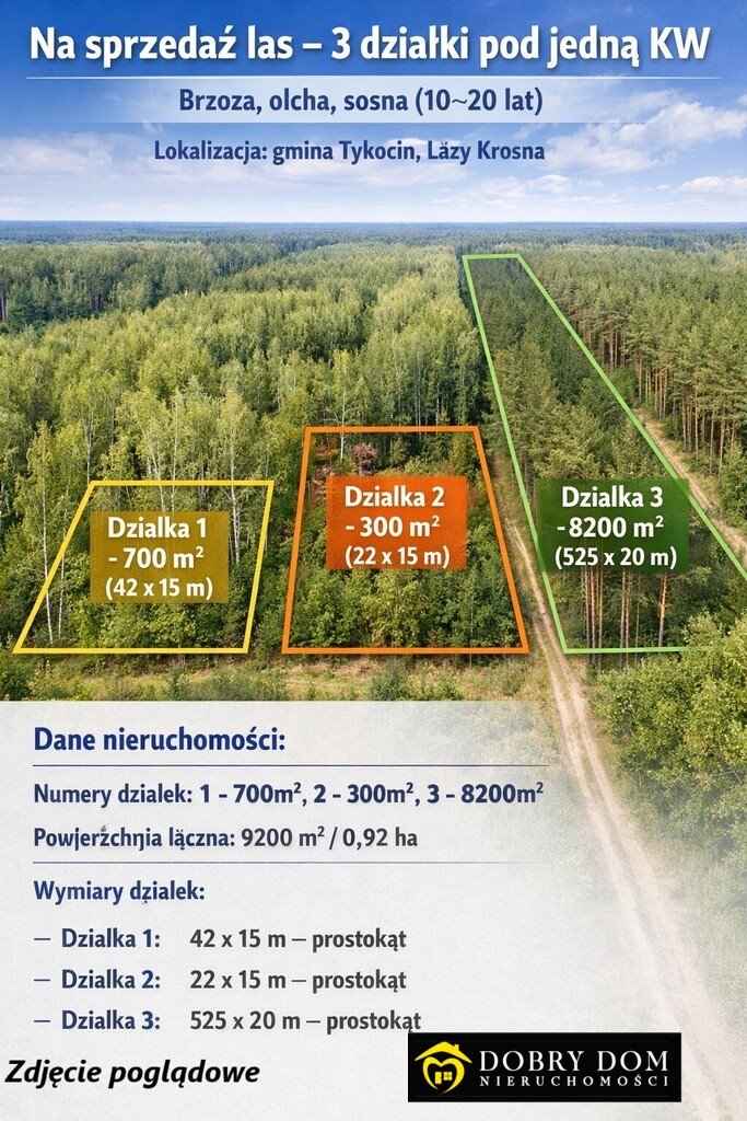 Malownicza działka leśna 0,92 ha z brzozą i sosną Krosno  9 200m2 Foto 1