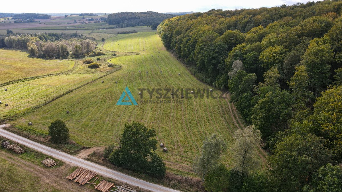 Działka budowlana na sprzedaż Trzepowo, Mestwina  1 695m2 Foto 12