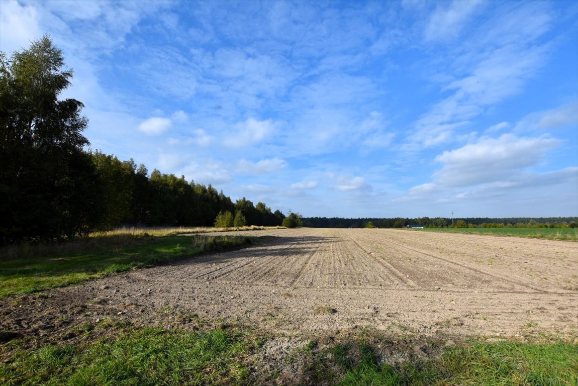 Działka budowlana na sprzedaż Borkowice  900m2 Foto 5