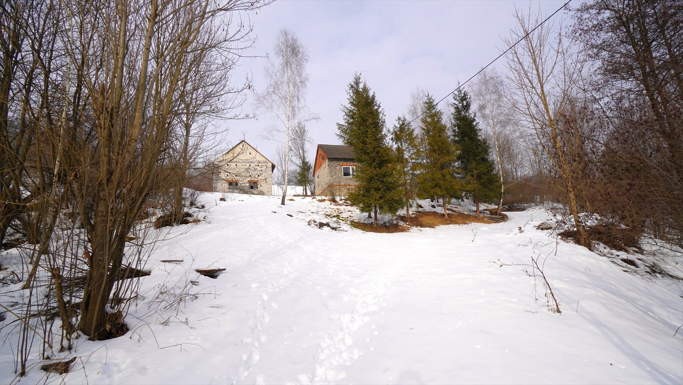 Urokliwy dom 60 m2 z dużą działką i budynkiem gospodarczym Krużlowa Wyżna  60m2 Foto 1