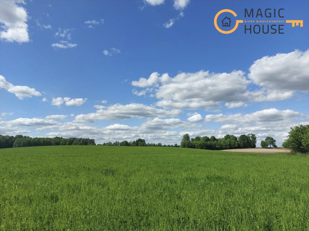 Działka 15 ha z możliwością budowy i lasem w Waplewie Waplewo  148 824m2 Foto 1