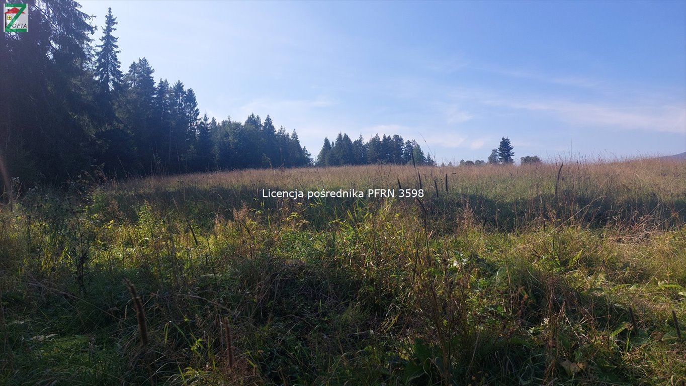 Działka rolna na sprzedaż Lipnica Wielka  2 000m2 Foto 5