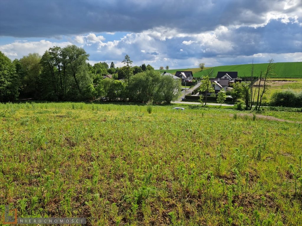 Działka budowlana na sprzedaż Łuczyce  1 200m2 Foto 1