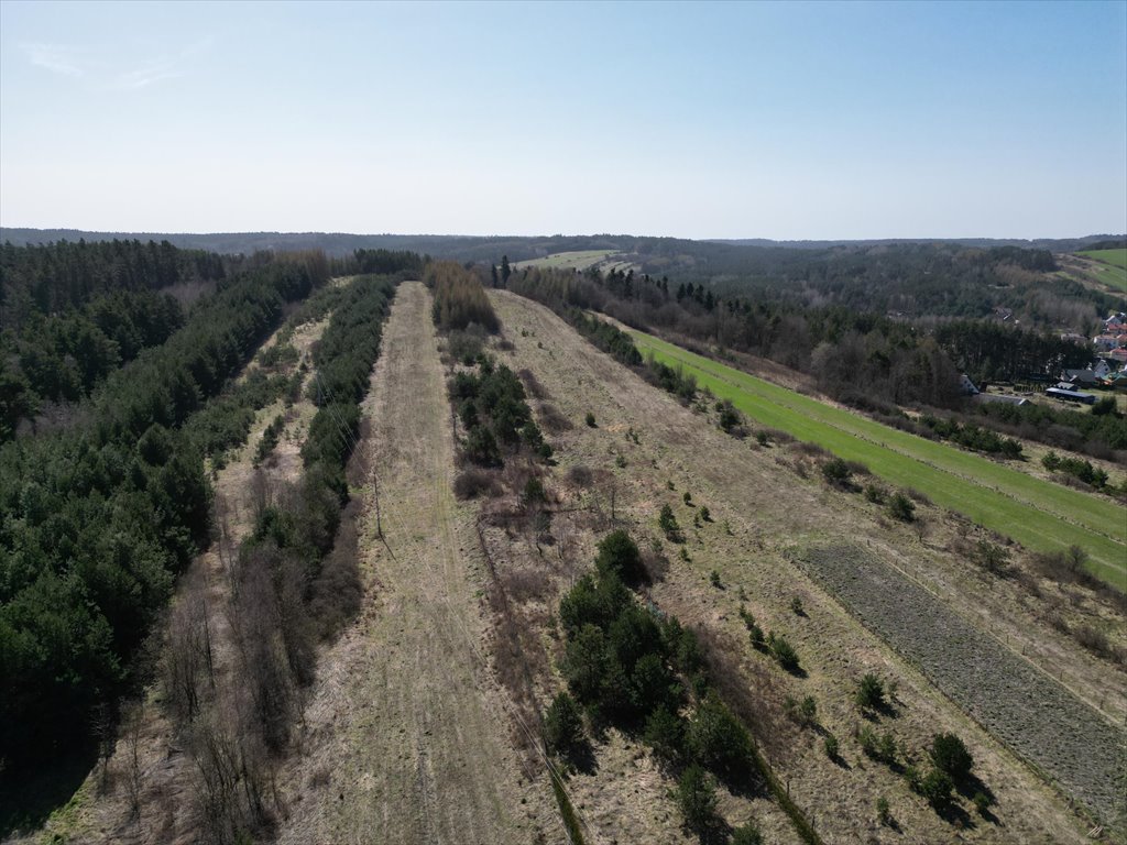 Działka budowlana na sprzedaż Krasnobród  7 862m2 Foto 15