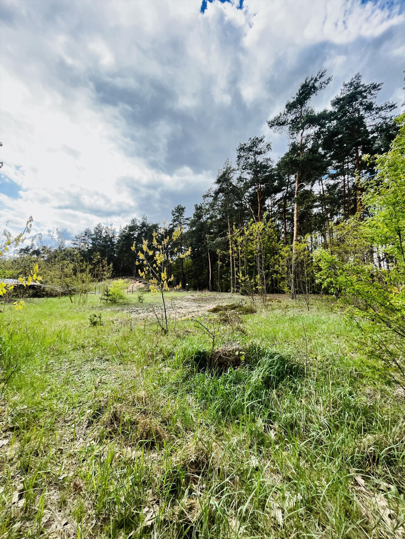 Działka inna na sprzedaż Wołomin, Orzechowa  2 000m2 Foto 8