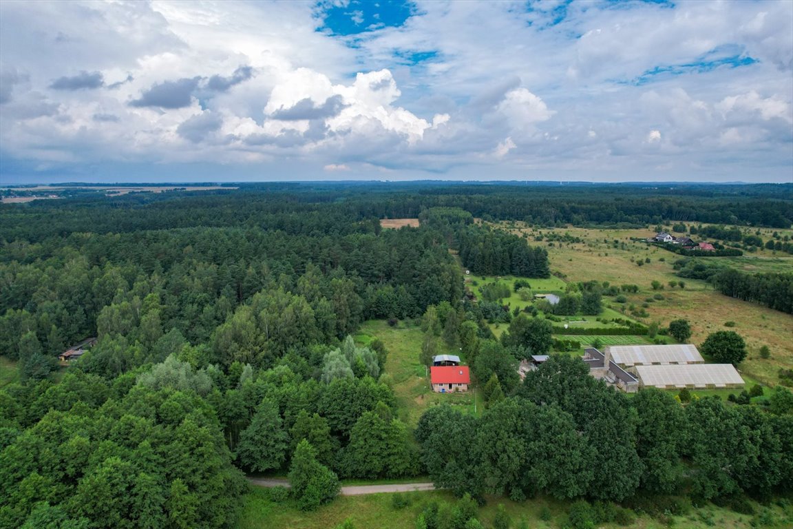 Działka budowlana na sprzedaż Niewierowo, Niewierowo  1 573m2 Foto 2