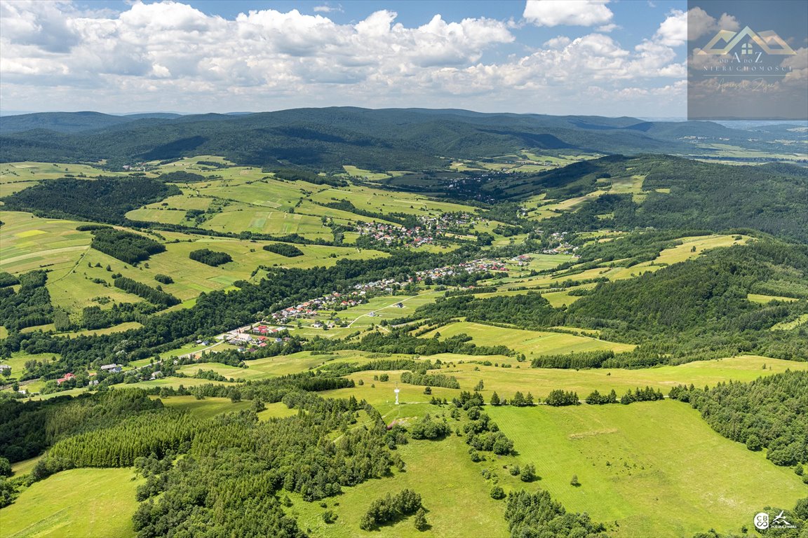 Działka leśna na sprzedaż Łysa Góra  76 700m2 Foto 1