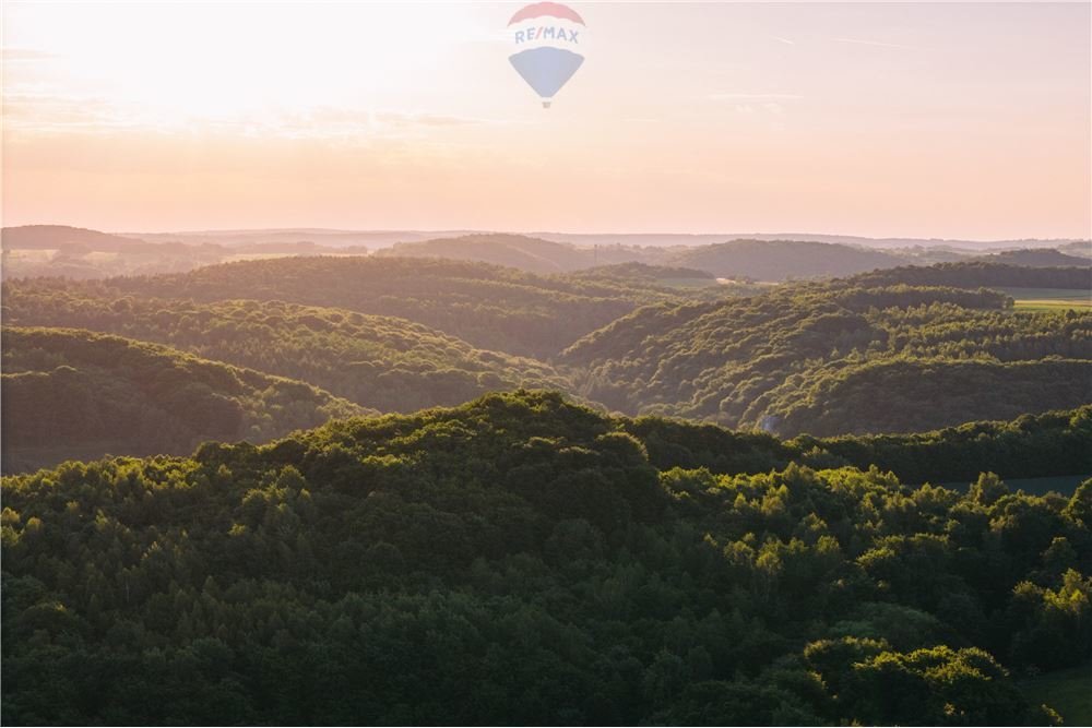 Dom na sprzedaż Będkowice, Jaśminowa  602m2 Foto 5