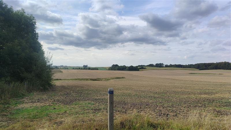 Działka siedliskowa na sprzedaż Lepno, Lepno  3 000m2 Foto 2