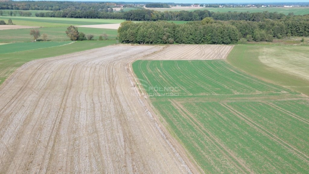 Działka rolna na sprzedaż Grodziec  96 000m2 Foto 4