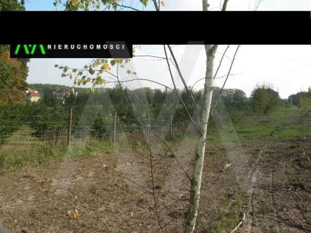 Działka budowlana na sprzedaż Czerniewo, Tereny rekreacyjne, Gdańska 1 500m2 Foto 1 Działka budowlana na sprzedaż Czerniewo, Tereny rekreacyjne, Gdańska 1 500m2 Foto 1