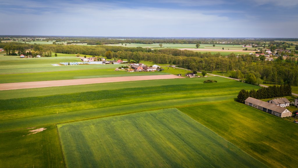 Działka inna na sprzedaż Uniejów  2 700m2 Foto 7