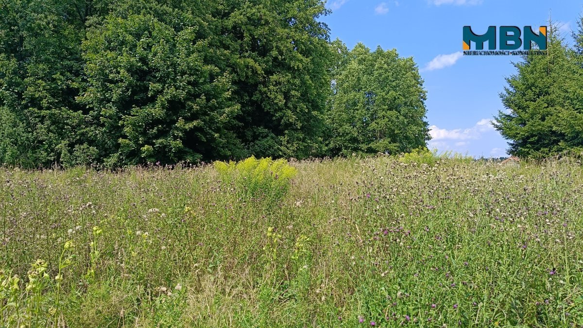 Działka rolna na sprzedaż Pozezdrze, Pieczarki  1 300m2 Foto 8