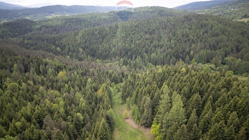 Działka rolna na sprzedaż Krzeszów  2 873m2 Foto 1