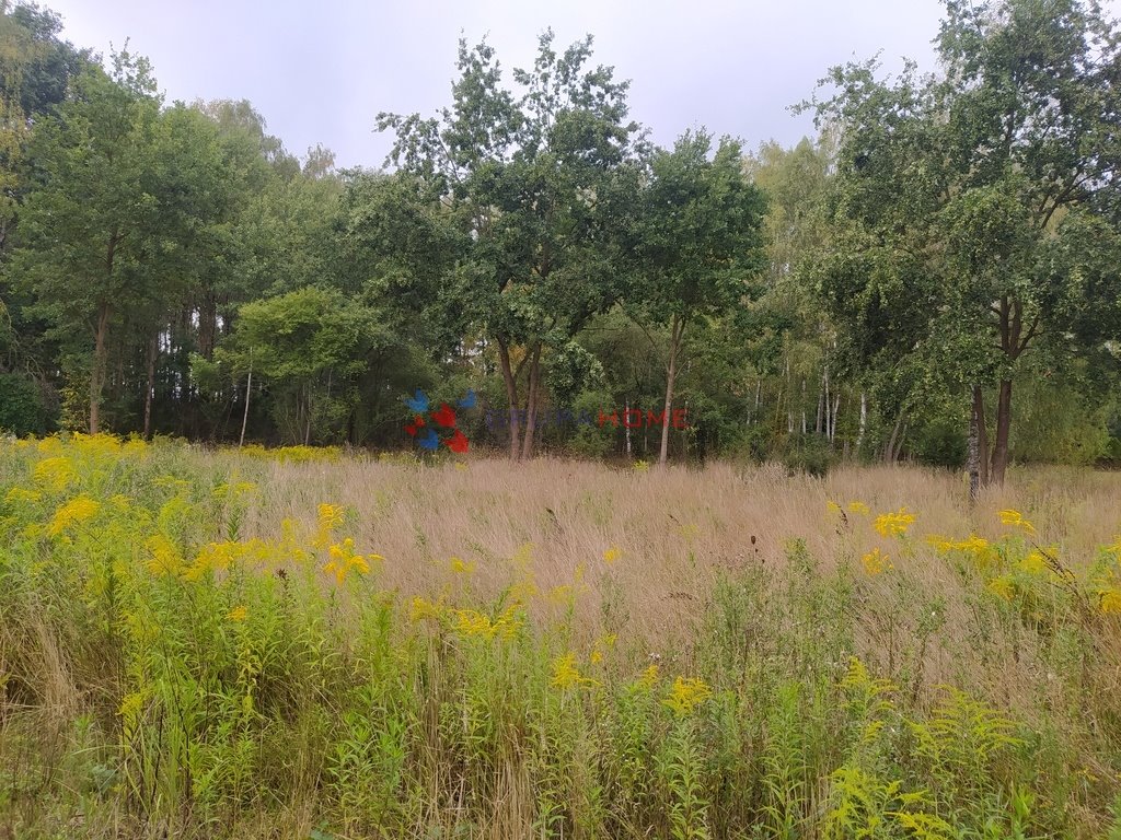 Działka budowlana na sprzedaż Kajetany  1 000m2 Foto 7