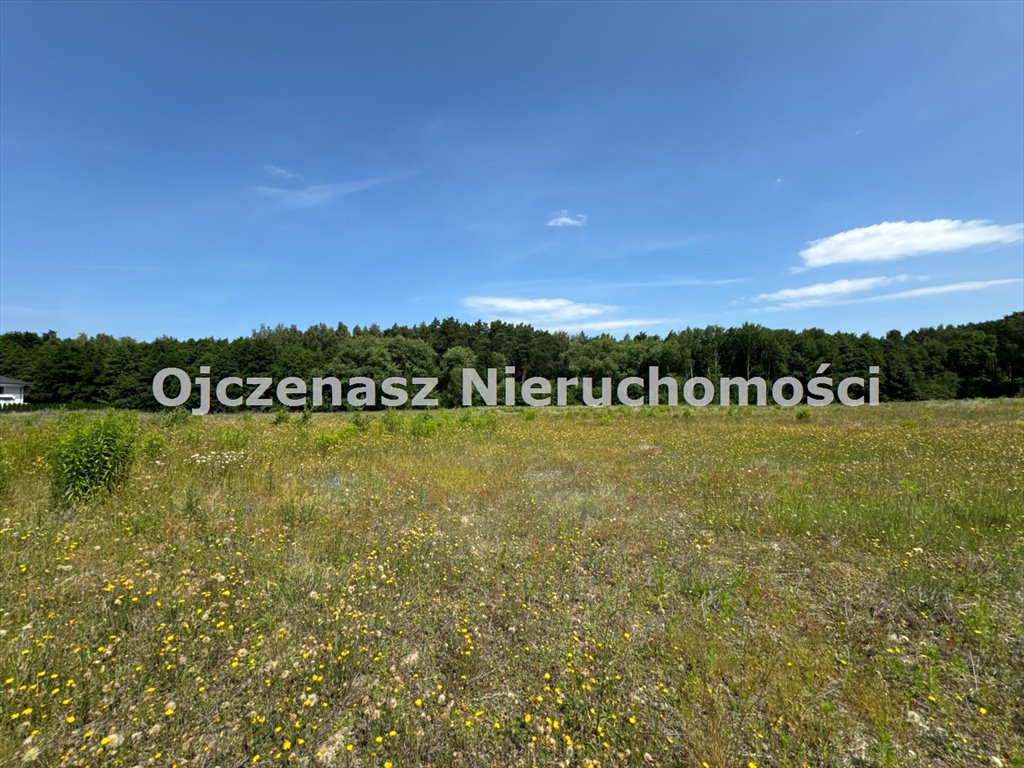 Działki w Niemczu przy lesie, media, MPZP, 1395 m2 Niemcz  1 395m2 Foto 1