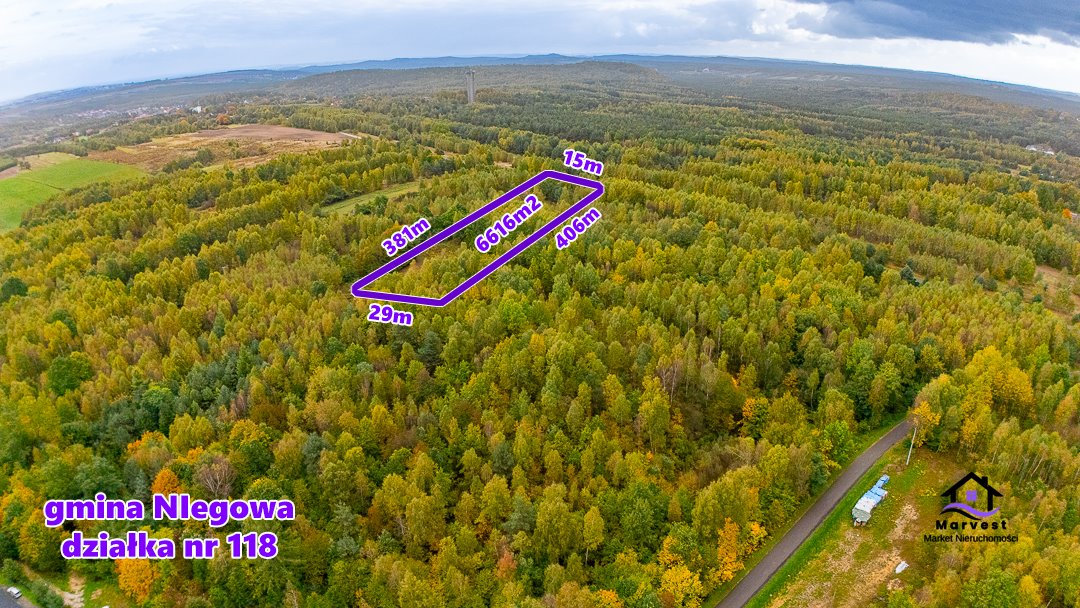 Działka rolna na sprzedaż Niegowa  6 616m2 Foto 1