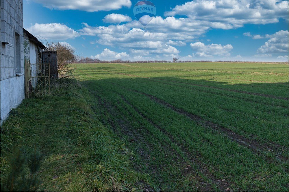 Działka przemysłowo-handlowa na sprzedaż Świdnik Duży, Świdnik Duży Drugi  7 100m2 Foto 5