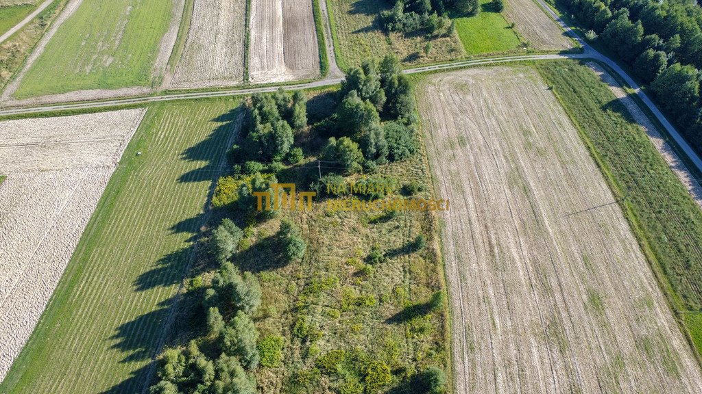 Działka budowlana na sprzedaż Białka  16 500m2 Foto 12