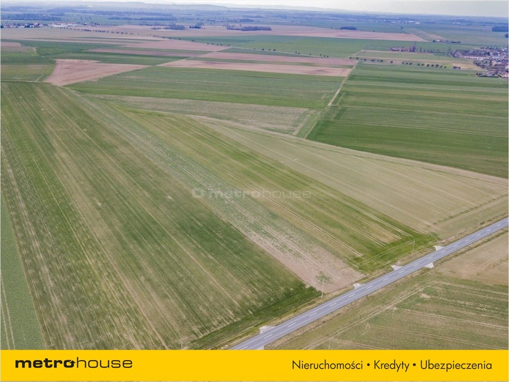 Działka rolna na sprzedaż Jenkowice, Kostomłoty  5 000m2 Foto 4
