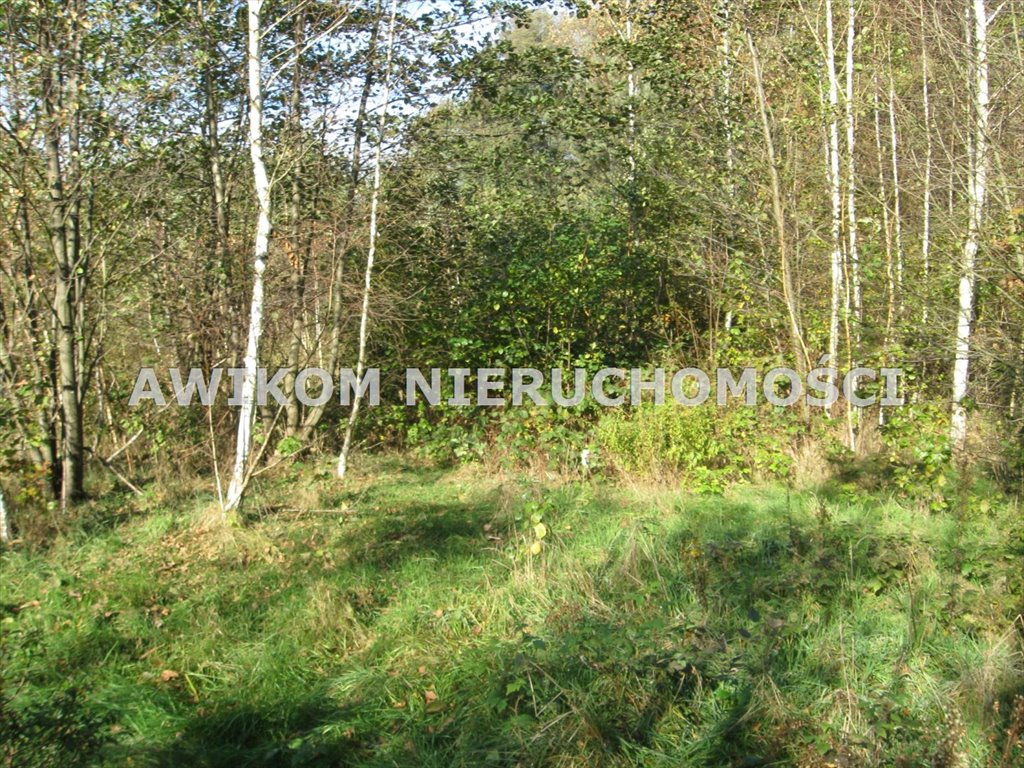 Działka 1199 m² pod zabudowę w otoczeniu lasów - polecam! Budy Mszczonowskie  1 199m2 Foto 1