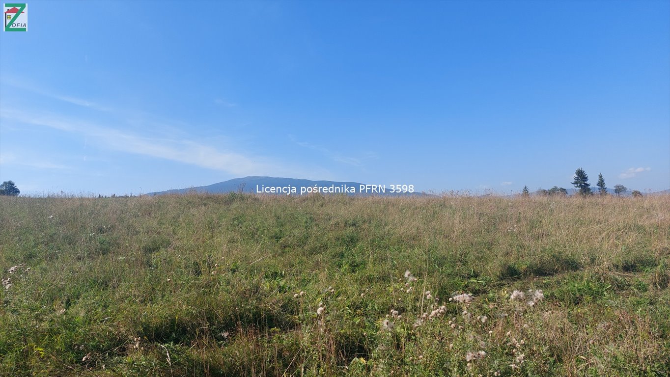 Działka rolna na sprzedaż Lipnica Wielka  2 000m2 Foto 6