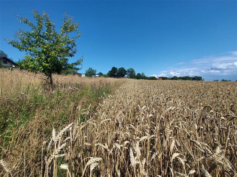 Działka inna na sprzedaż Kopnica, Kopnica  3 000m2 Foto 11