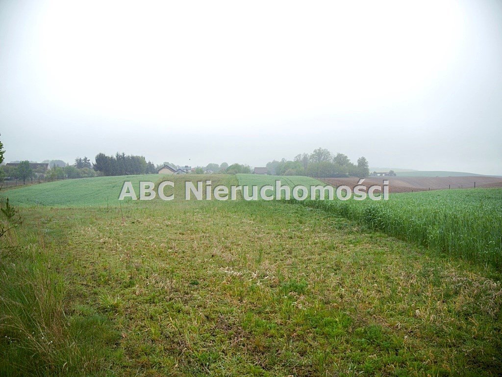 Działka 6200 m² z MPZP pod zabudowę jednorodzinną Zawada  6 200m2 Foto 1