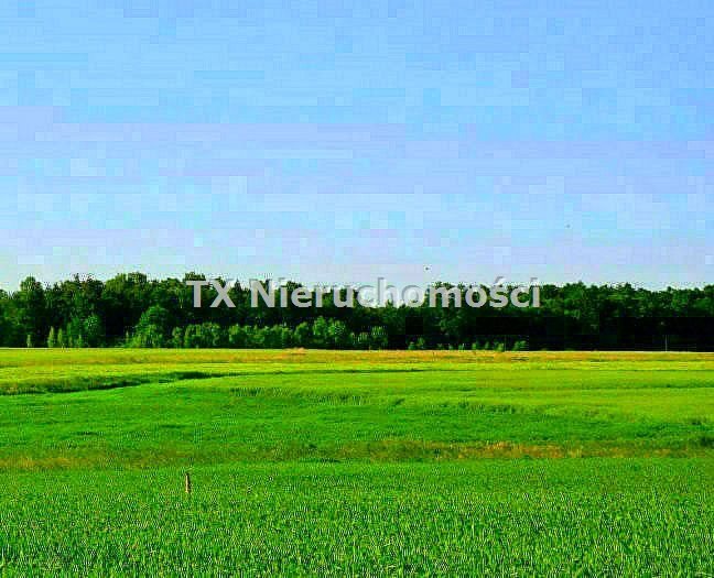 Działka budowlana na sprzedaż Gliwice, Brzezinka 940m2 Foto 1 Działka budowlana na sprzedaż Gliwice, Brzezinka 940m2 Foto 1