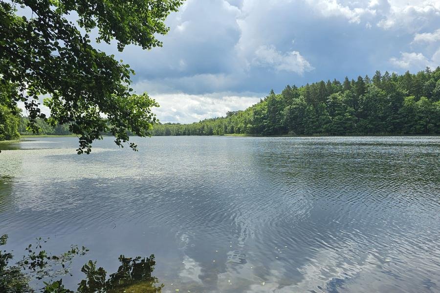 Działka rekreacyjna na sprzedaż Kotkowo  1 482m2 Foto 11