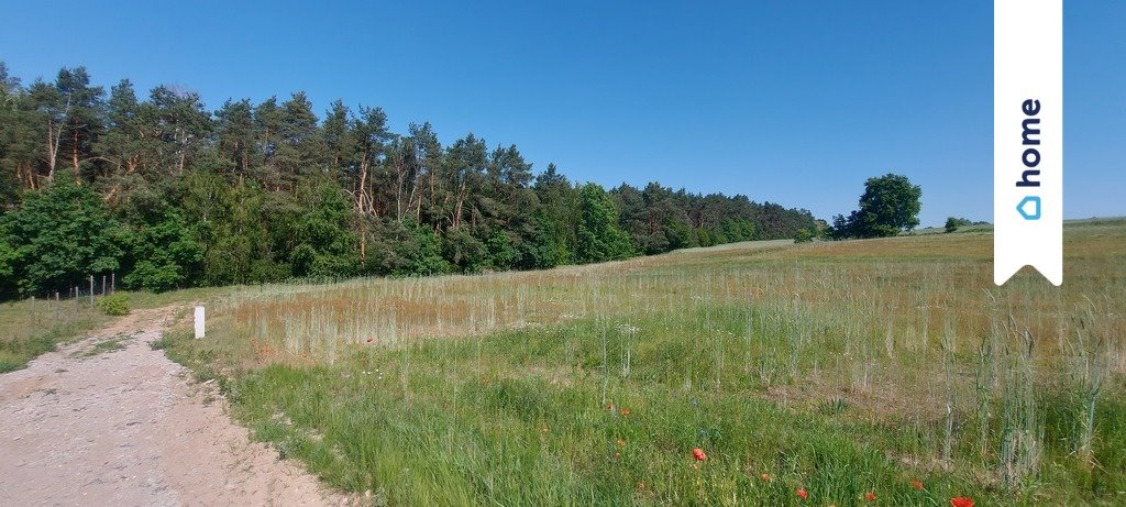 Działka budowlana na sprzedaż Nowy Witoszyn  3 637m2 Foto 2