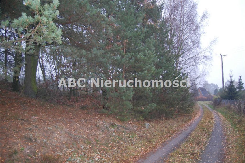 Działka leśna na sprzedaż Górzna  4 200m2 Foto 2