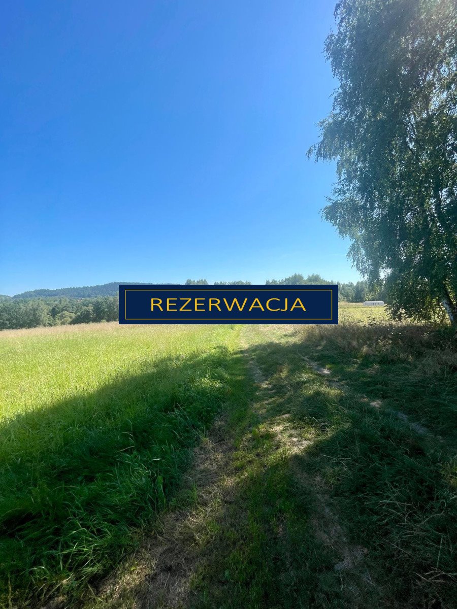 Działka budowlana na sprzedaż Rychwałd, Holnówka  1 064m2 Foto 12