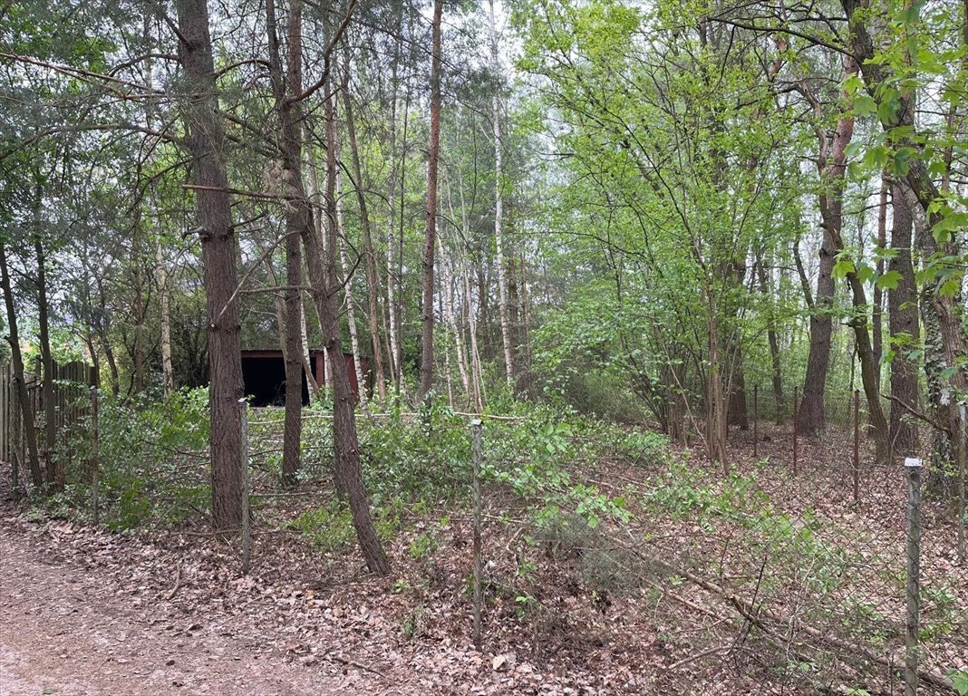 Działka 948 m² pod zabudowę jednorodzinną, las w sąsiedztwie Nadarzyn, Echa Leśne 42  948m2 Foto 1