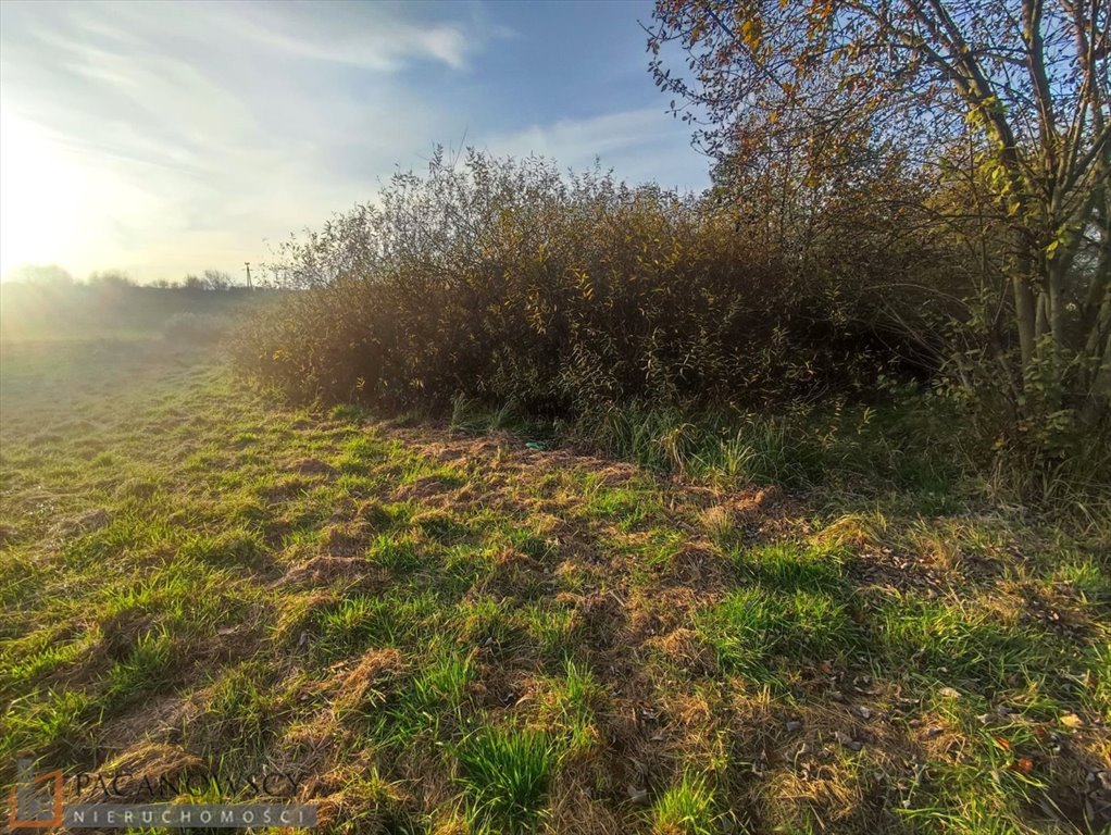 Działka budowlana na sprzedaż Bosutów  3 100m2 Foto 1