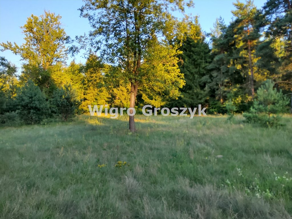 Działka budowlana na sprzedaż Pogorzelec  4 300m2 Foto 2