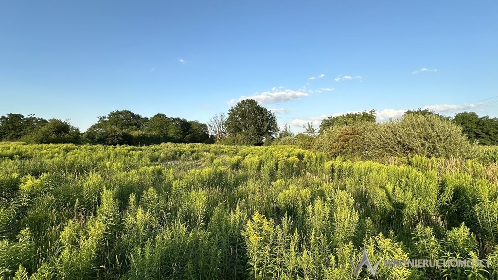 Działka inwestycyjna na sprzedaż Miłoszyce  6 300m2 Foto 1