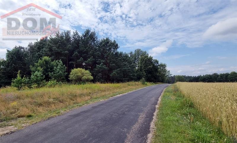 Działka budowlana na sprzedaż Stara Korytnica  13 800m2 Foto 9