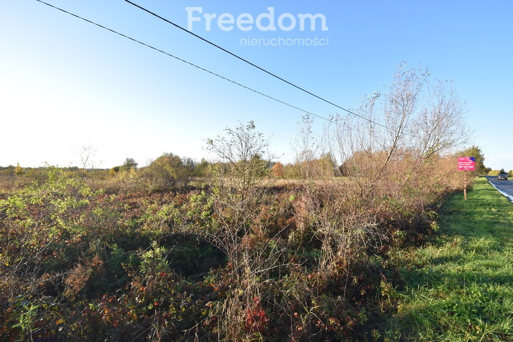 Działka inna na sprzedaż Broniów  6 500m2 Foto 9