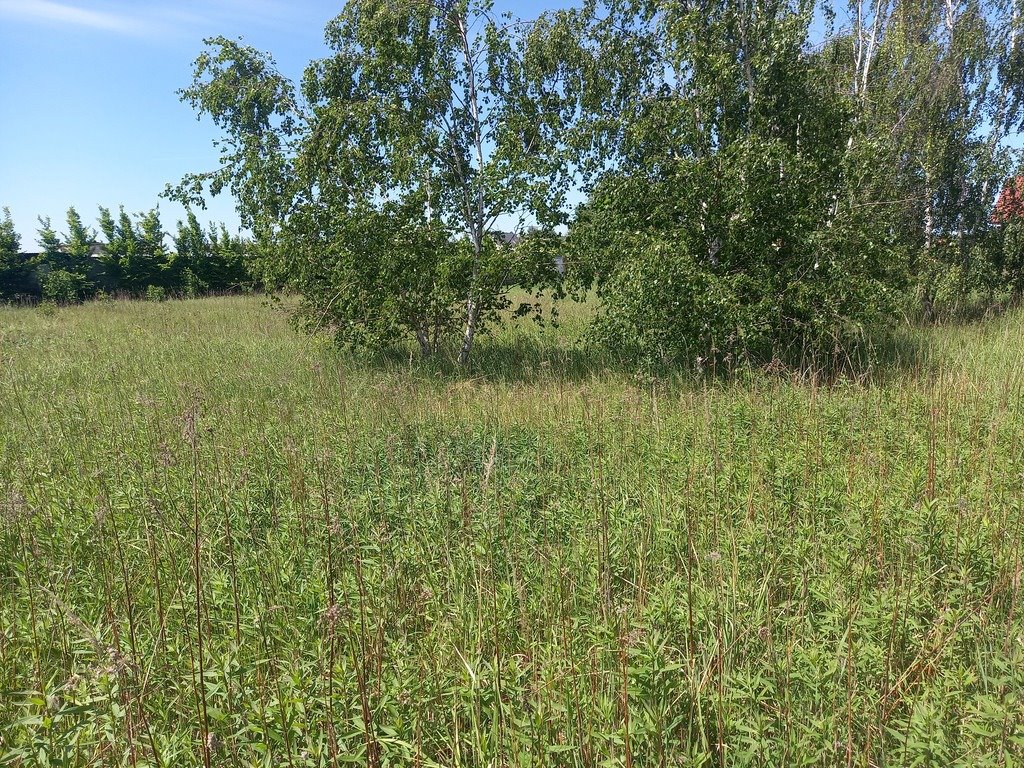 Działka budowlana na sprzedaż Byków  1 000m2 Foto 2