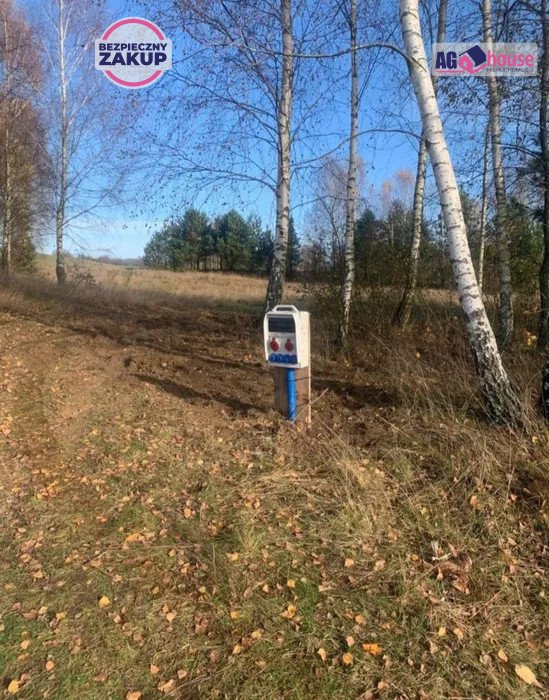 Działka budowlana na sprzedaż Pieski  1 231m2 Foto 5