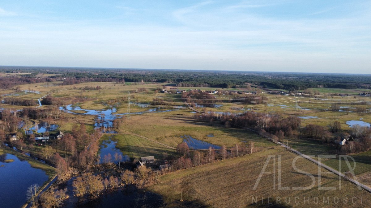 Działka budowlana na sprzedaż Grądy Szlacheckie  9 800m2 Foto 12