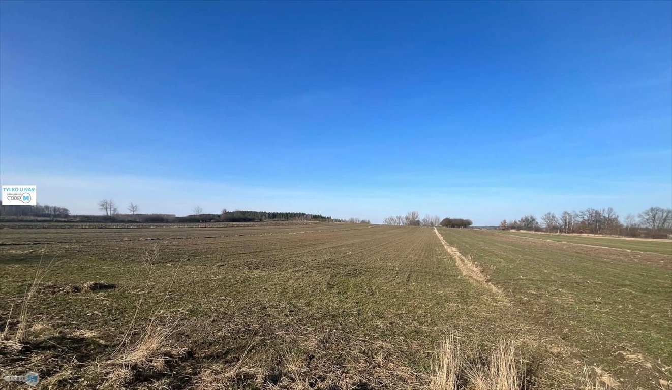 Działka rolna z możliwością zabudowy 5800 m², Kostera Gnojno, Kostera  5 800m2 Foto 1