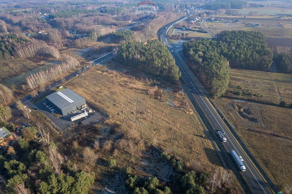 Działka komercyjna na sprzedaż Rogożewek  12 720m2 Foto 5