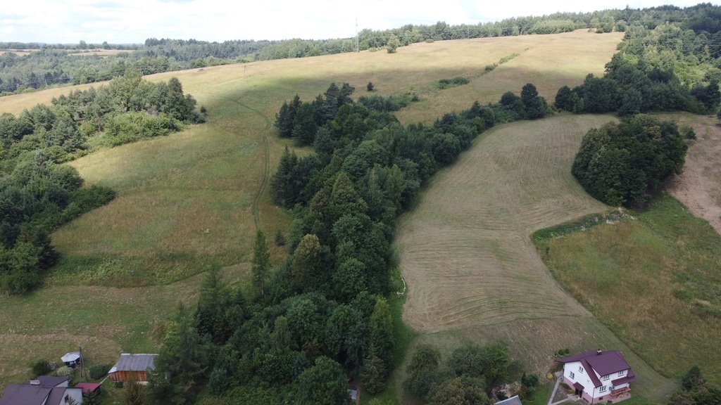 Działka budowlana na sprzedaż Korzeniec  61 494m2 Foto 8