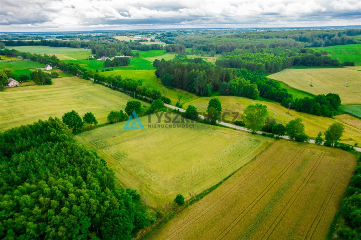 Działka budowlana na sprzedaż Dąbrówka  7 800m2 Foto 4